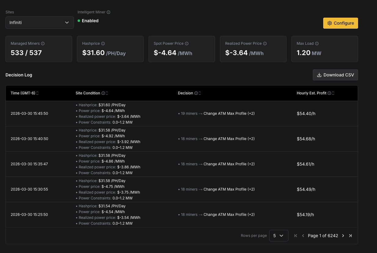 Intelligent Miner Decision Log